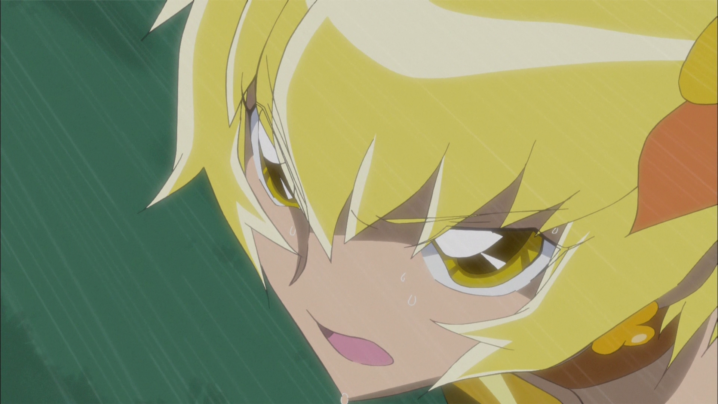 ハートキャッチプリキュア30話感想 ポプリが家出 いつきボロボロです 魔法少女思い出ブログ