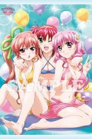 とらのあなB2タペストリー