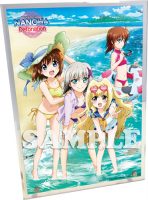 ソフマップアクリルアートスタンド