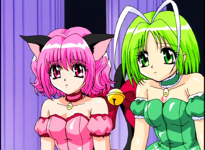 東京ミュウミュウ29話感想 ネコの言葉がわかるに禁断の恋 にゃん 魔法少女思い出ブログ