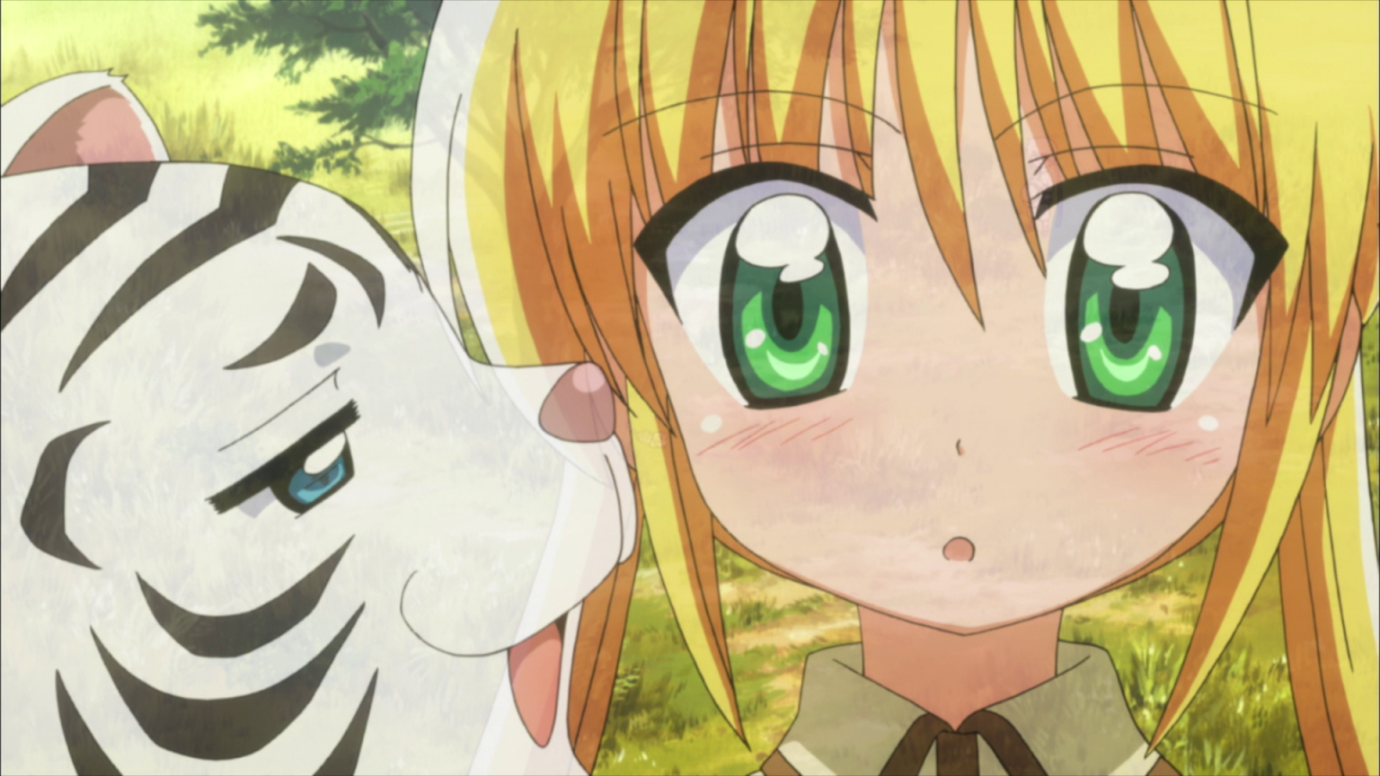 ハヤテのごとく2期21話感想「なんだかんだで自分ちの猫が一番かわいい」 魔法少女思い出ブログ