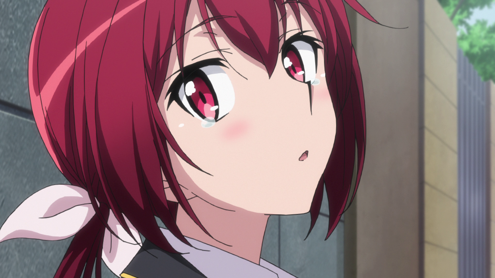 城下町のダンデライオン1話感想 櫻田さんちの9人きょうだい 魔法少女思い出ブログ