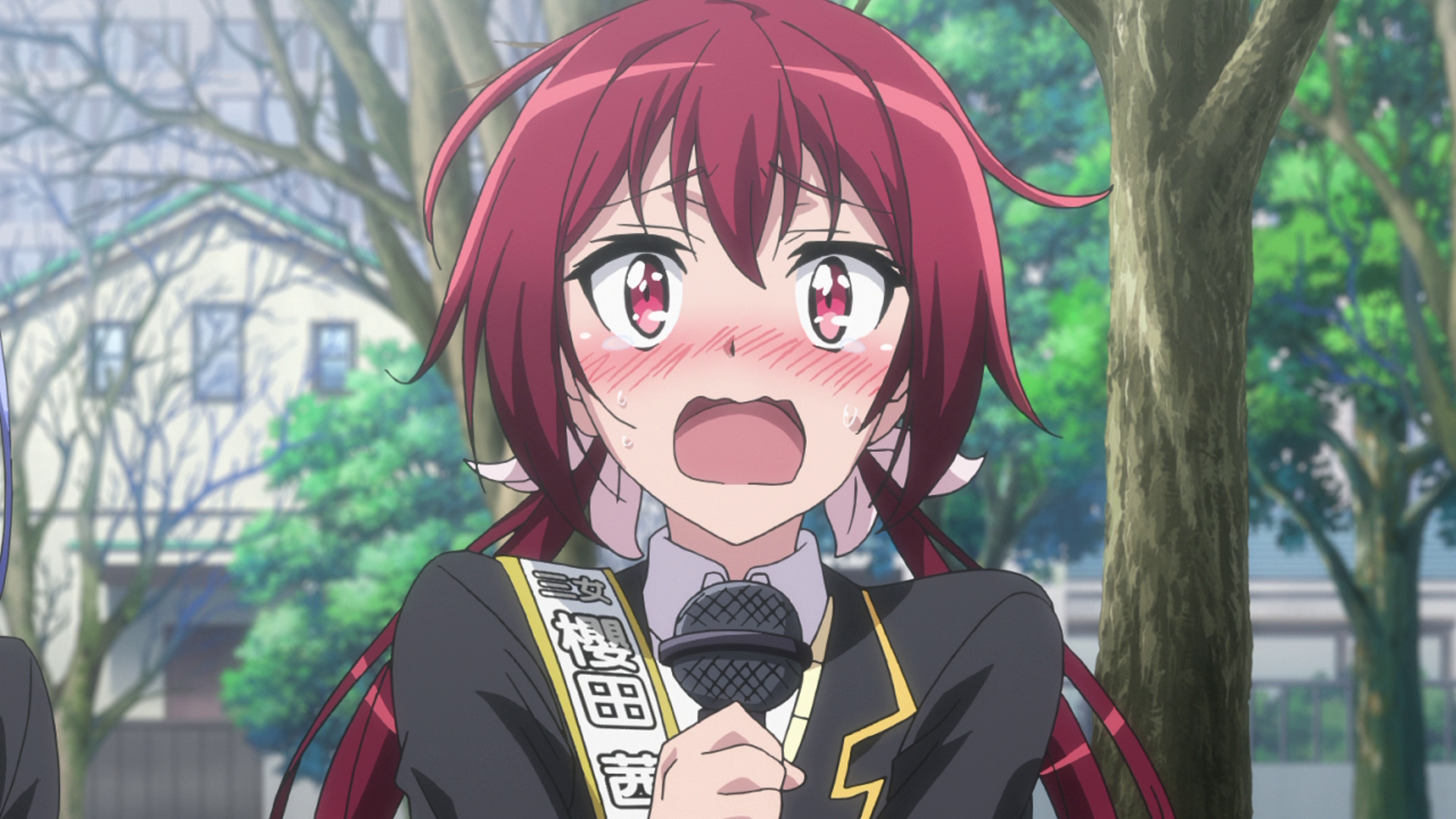 城下町のダンデライオン9話感想 スカーレットブルーム お姉ちゃんの誕生日 魔法少女思い出ブログ