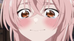魔法少女リリカルなのはエクシーズ12話